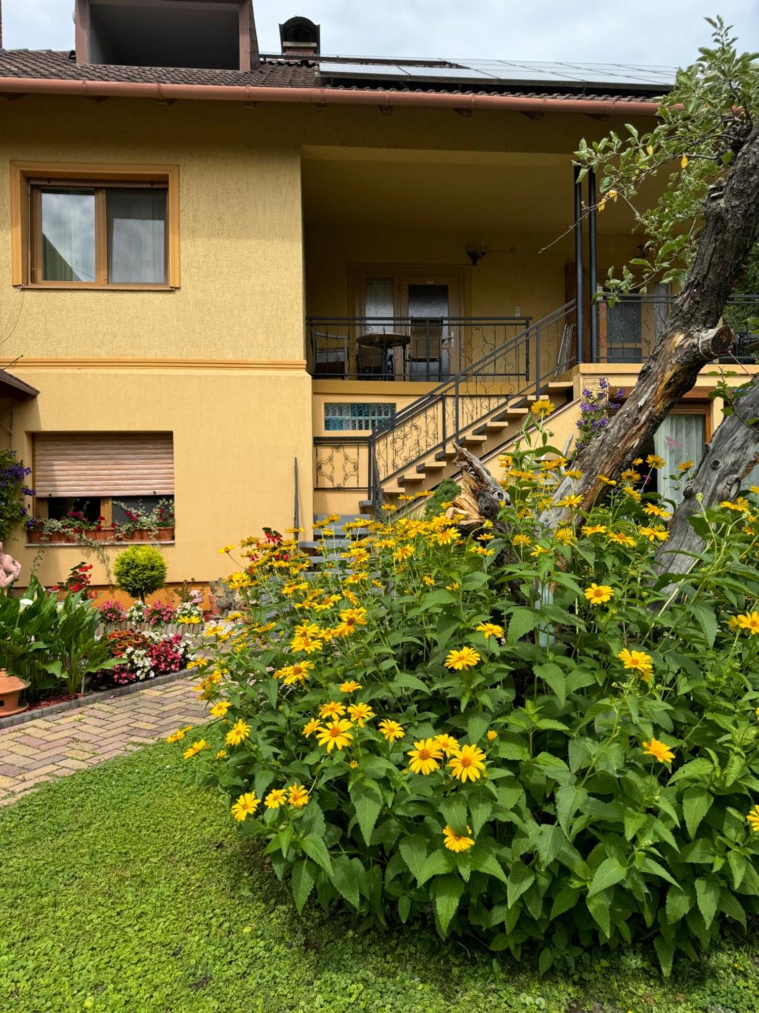 Rozsa Apartman 2 Alsoors Luaran gambar